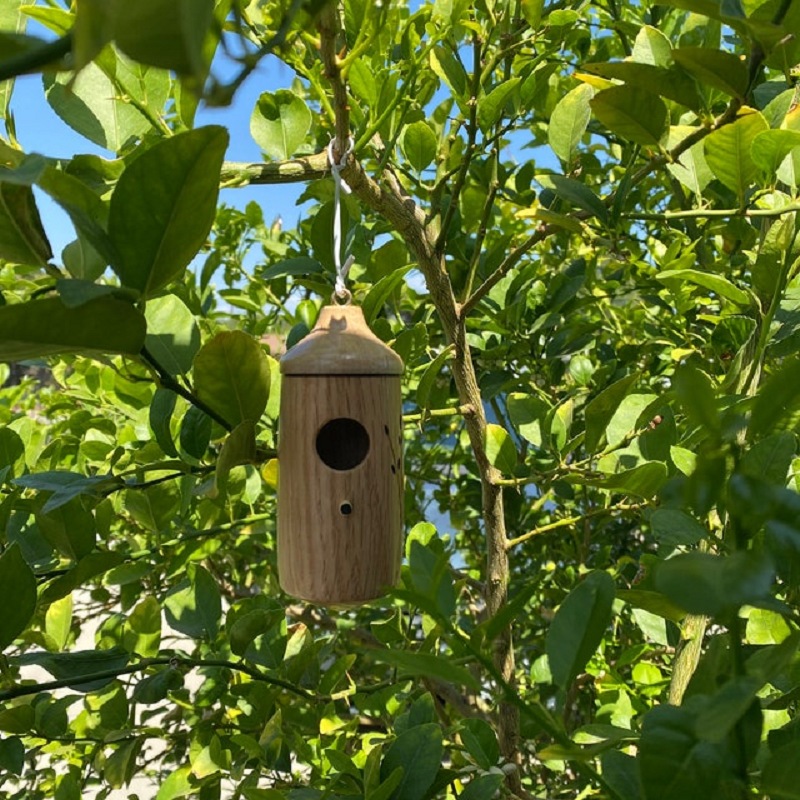 Hummingbird Birdhouse with Weather Resistant Resin and Wood Grain Finish