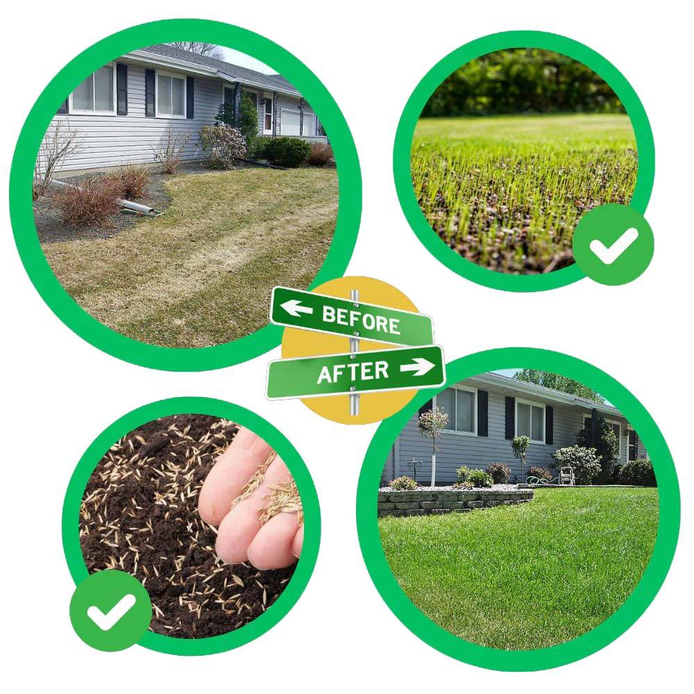 Grass Seed Mat with Embedded Fertilizer and Biodegradable Fabric, Dual Layer Design